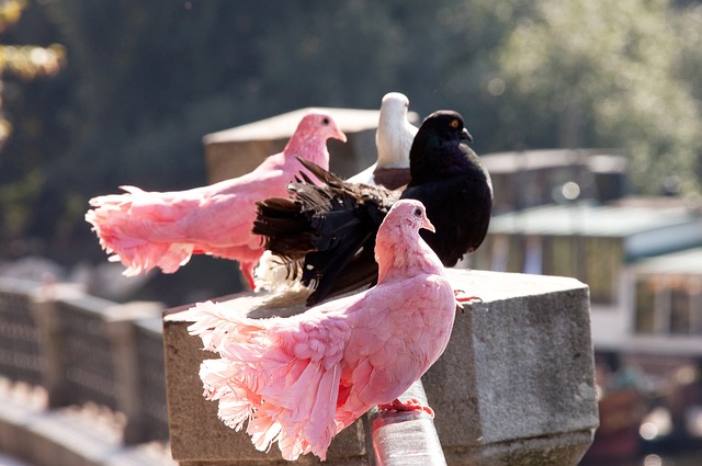 不小的麻煩 不小的麻煩