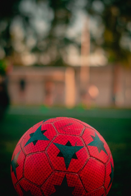 执行将成为 执行将成为