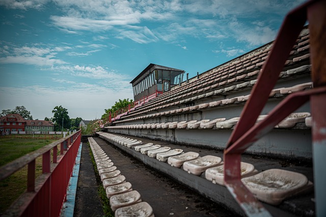 但他们用实 但他们用实
