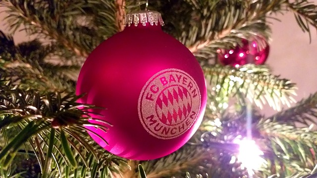 运动学校 运动学校