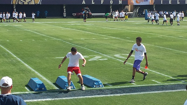 国领先的乳 国领先的乳