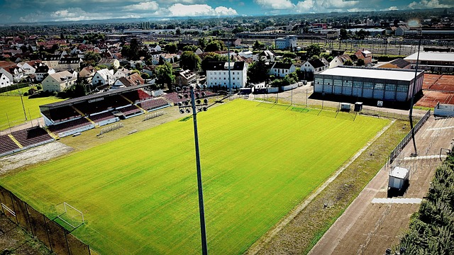河北队胜江 河北队胜江