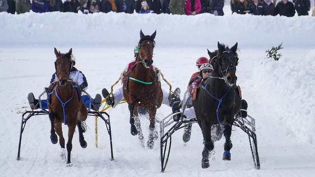 維爾納是德 維爾納是德