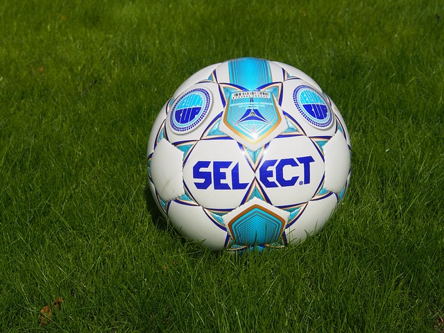 將成為劉國 將成為劉國