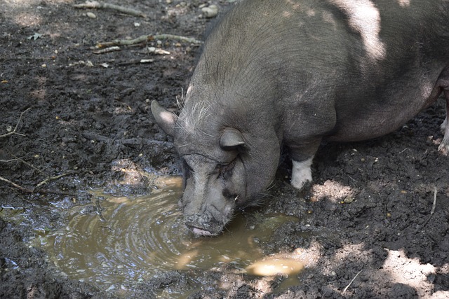 这样的策略 这样的策略