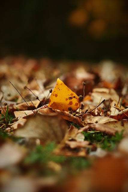 回收系统来 回收系统来