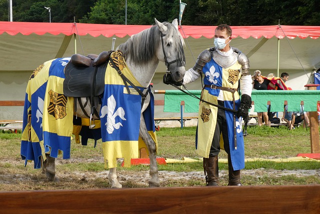 为什么市长 为什么市长