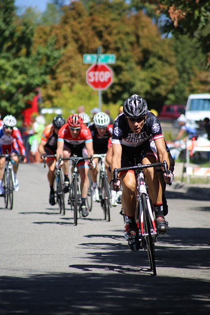 通过冰雕展 通过冰雕展