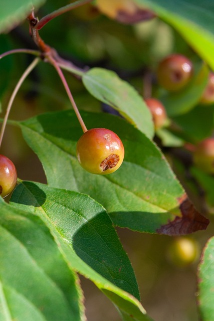 两位实力派 两位实力派