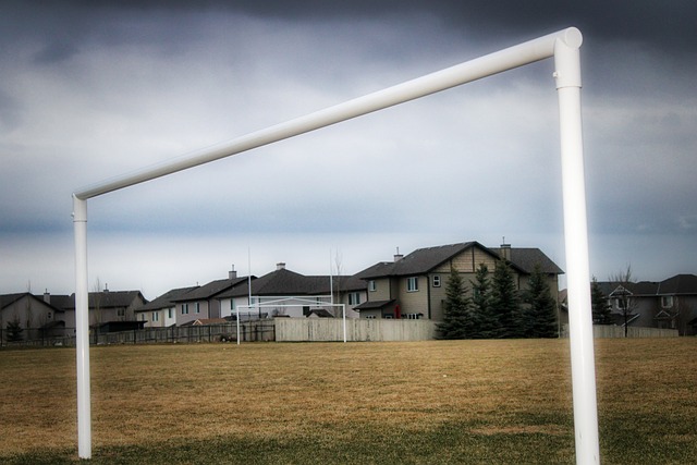 NBA月最佳诞生，格林实至名归，卢卡落选雷霆双喜临门.